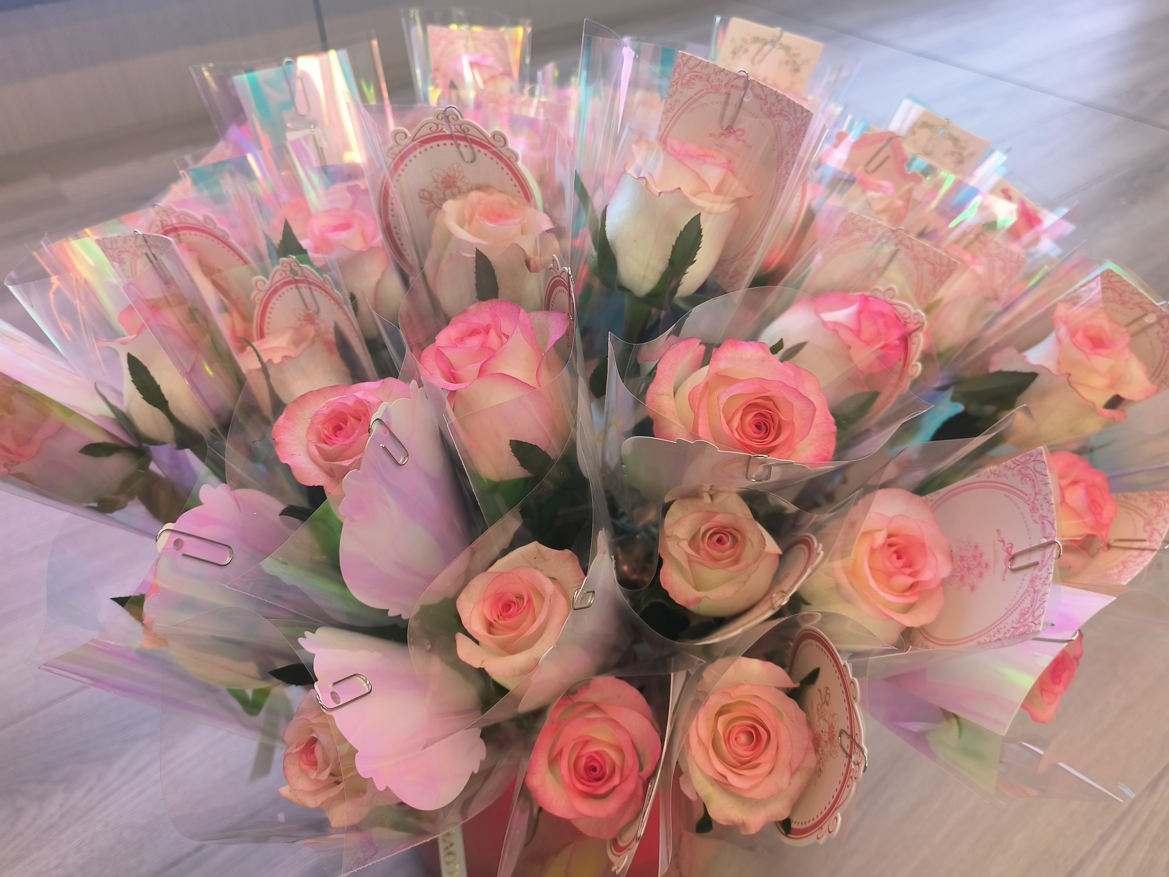 IMG_20260307_084732-20b86c3926504a9881feeb4b8e61dd1f